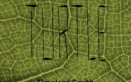 Timelord Smith - Turtle EP Album Cover