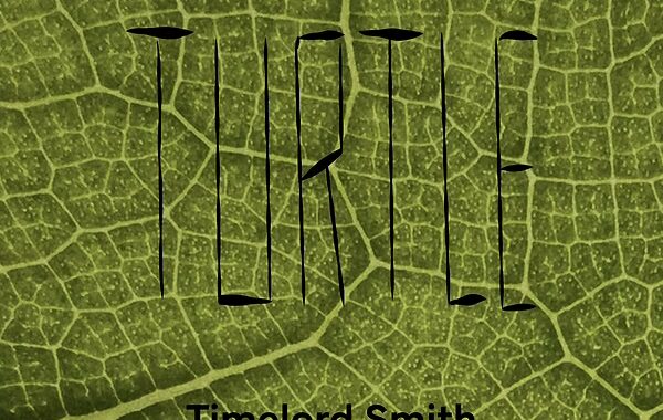 Timelord Smith - Turtle EP Album Cover